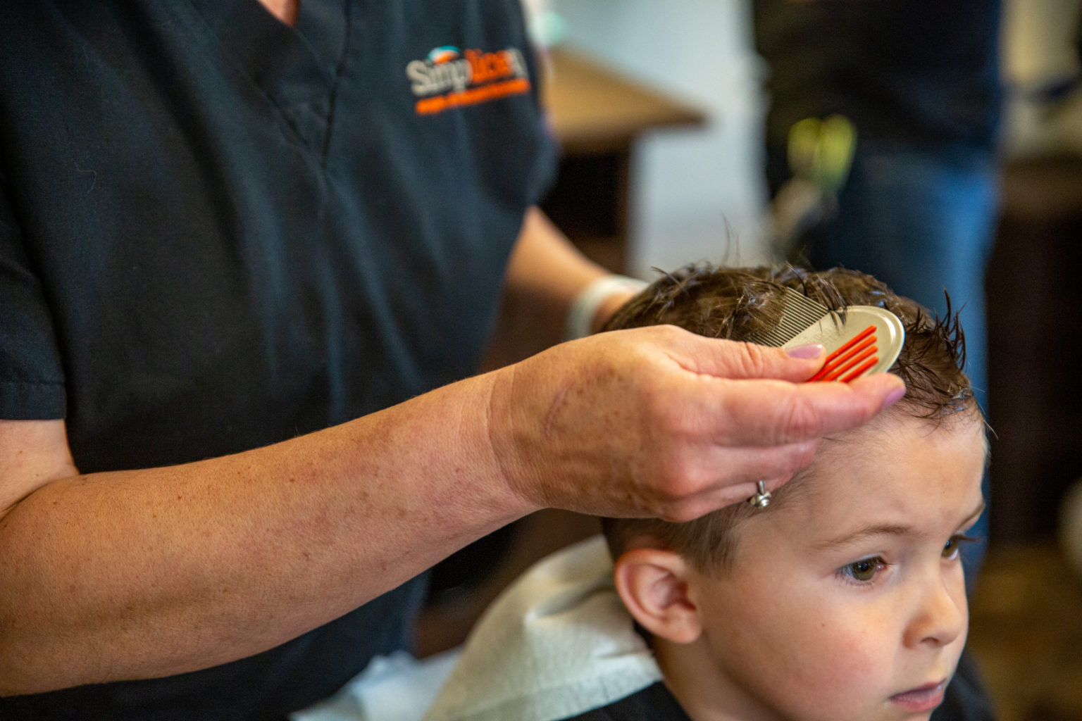 Professional Head Lice Treatment Service Safe and AllNatural